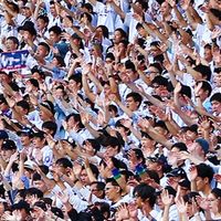 プロ野球応援歌好きの集まり