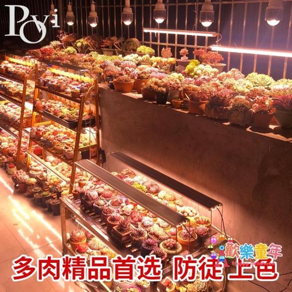 植物燈 全光譜LED植物生長 花卉蔬菜育苗組培多肉上色防徒補光燈 1色