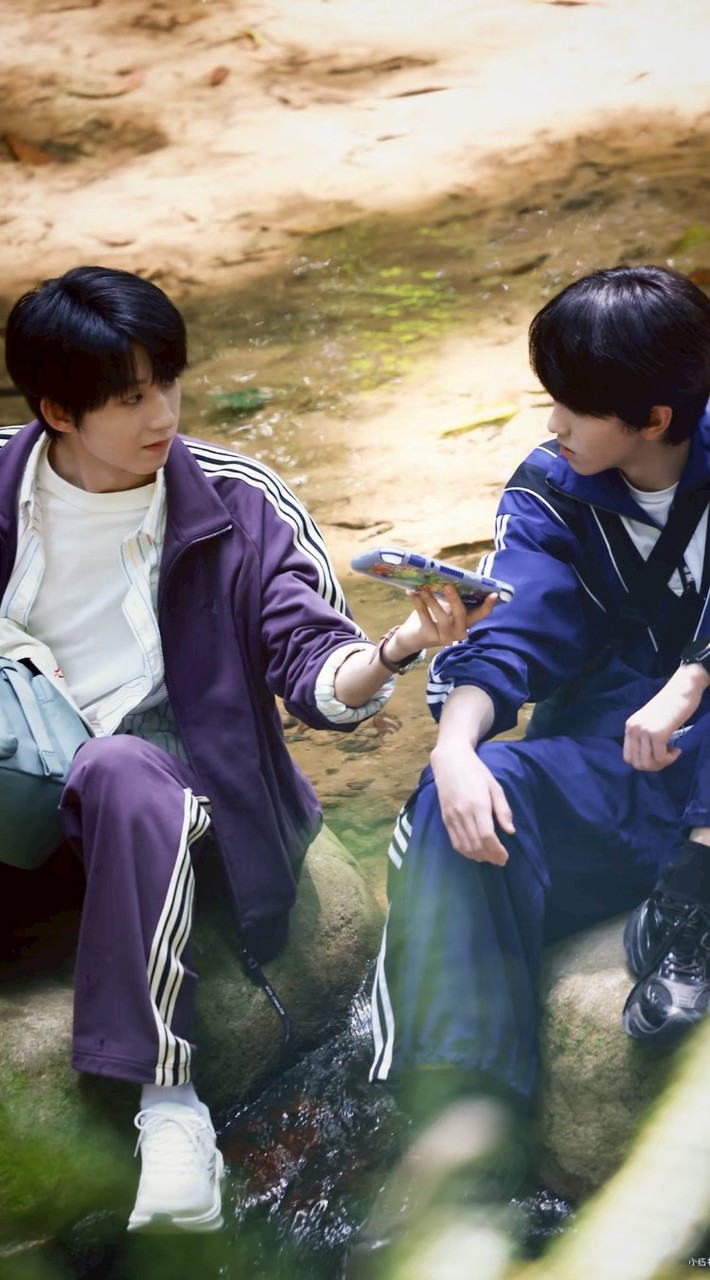 TF家族四代粉丝聚集地