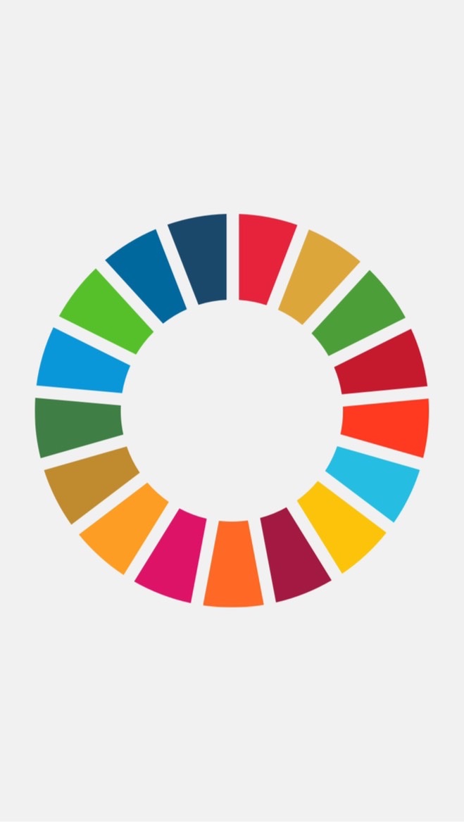 What is SDGs?