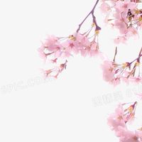 我看txt我驕傲