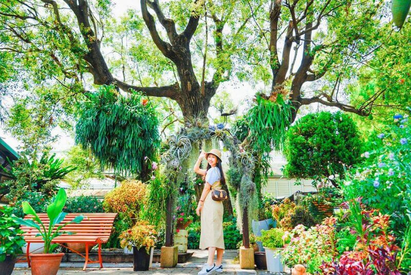 彰化IG景點_菁芳園