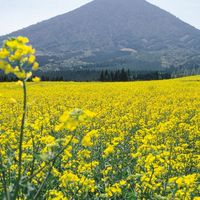 宮崎県小林市周辺の愉快な仲間達集まれ～