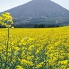 宮崎県小林市周辺の愉快な仲間達集まれ～