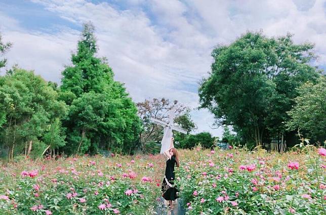 照片來源：IG @153.shanshan