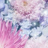 三重(鈴鹿・津・四日市・亀山)40代～