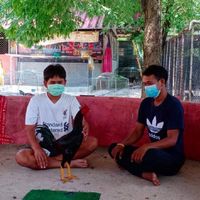 ทองบ้านไก่ชนคลองบางกลาง