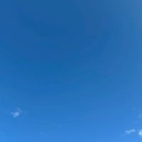 そら鯖
