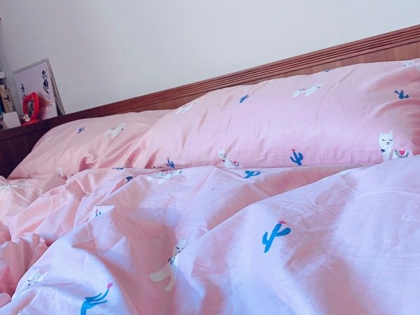 『床包推薦』超療癒夜夜好眠必備－棉床本舖、天絲、精梳棉、復古MIT台灣製造舒適好眠Annahome純棉寢具床墊床包床組開箱分享（ 排汗、保濕、涼感降溫、透氣、枕頭、竹蓆、保潔墊 、 止鼾枕 、 蚊帳 、兒童寢具 、乳膠枕 、 收納櫃 、門簾 、 抱枕 、 涼蓆 、 涼被 ）