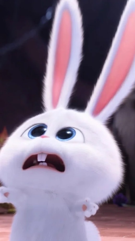 垢抜け・メイク・ヘアメetc. 𓂃❁⃘𓈒𓏸