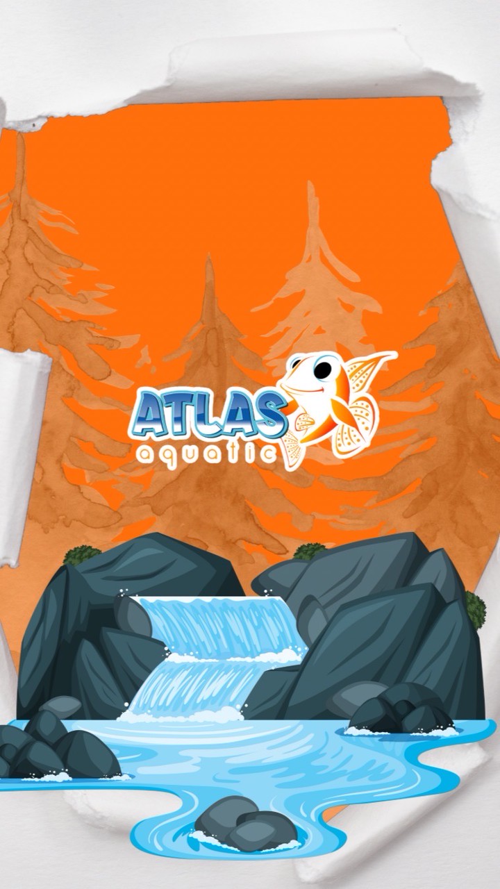 Atlas Aquatic
