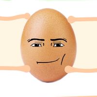 ประเทศไข่แลนด์