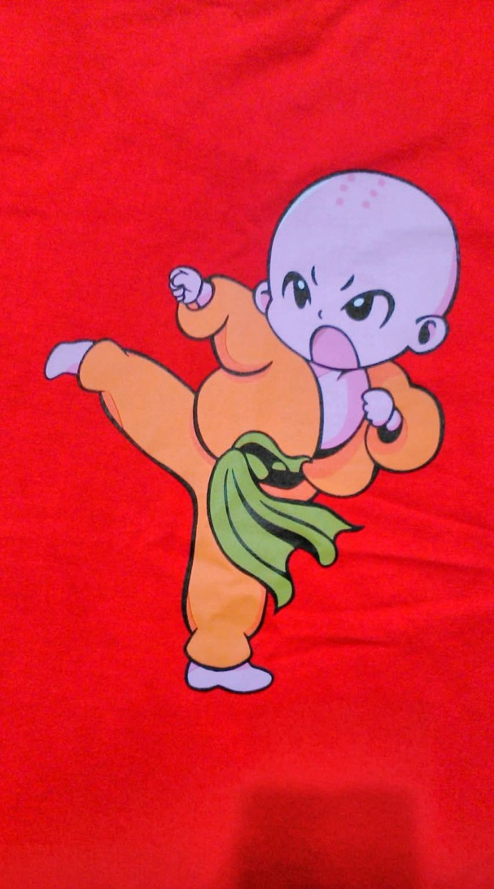 六.清新晚班太極拳