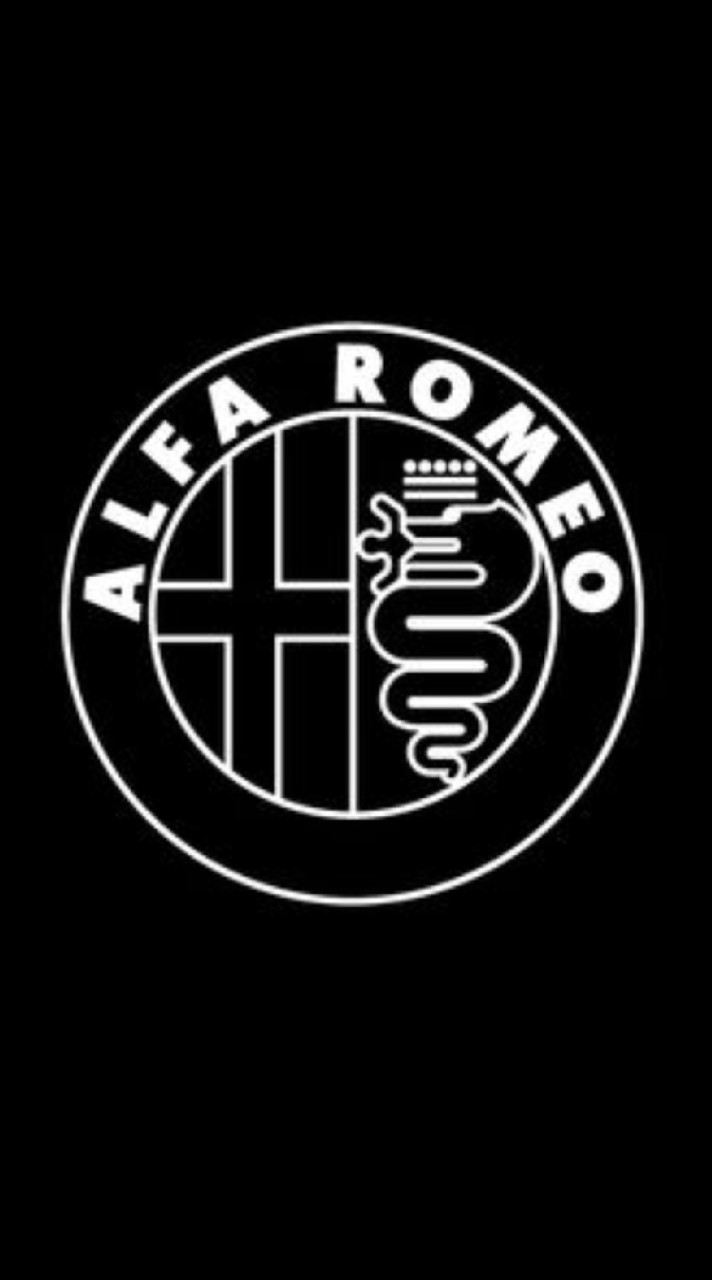 AlfaRomeo Touring Team