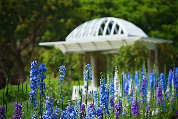 2023新開幕話題飯店：花蓮秧悅美地度假酒店