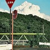 あの夏、私は貴方に恋をした