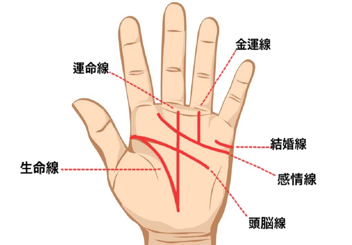 最新のファッション 驚くばかり手相の見方 女性 金運