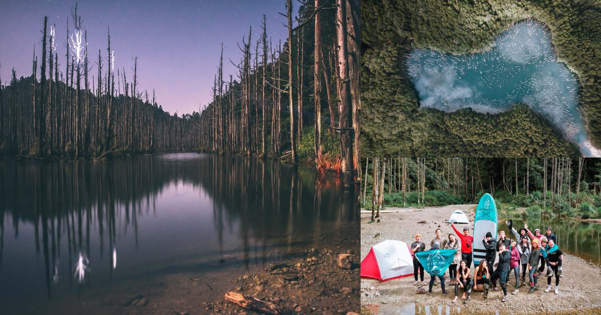 登山路線推薦五大「森林探險路線」！除了嘉明湖，登山客搶登的阿里山「眠月線」也正夯！-1