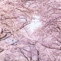陰キャに親近感を持つ人かもん！