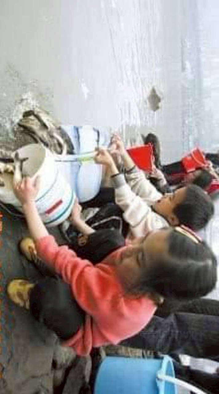3.洪水林因果護生團