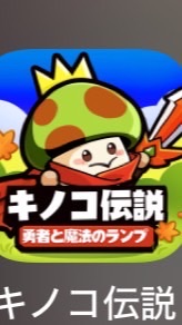 キノコ伝説S22のみ！