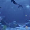 HQ 人魚パロ　固定カプ
