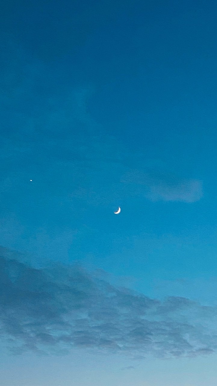 期中考好累累