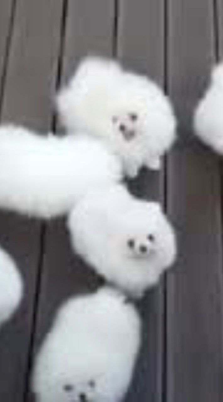 辟眼派對