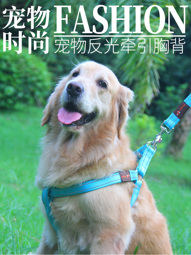 牽引繩 結實 狗狗?子狗牽引繩胸背帶遛狗繩子薩摩金毛中大型犬寵物用品
