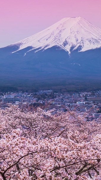 Hiw jp 🇯🇵 18 - 22 march