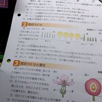 勉強ルーム（みんなで楽しく勉強しよう）雑談オッケー