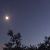 真夜中の独り言
