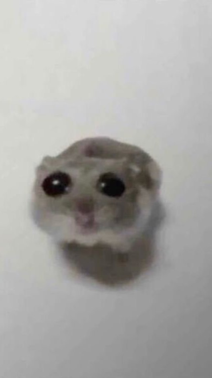 みんなで雑談‼️ライブトーク‼️