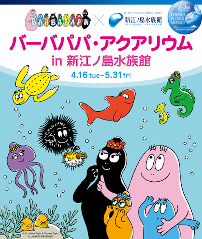 新江之島水族館泡泡先生 9