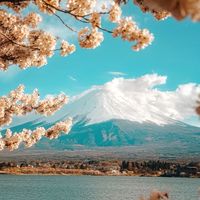 小資旅遊、機票、飯店優惠小天地