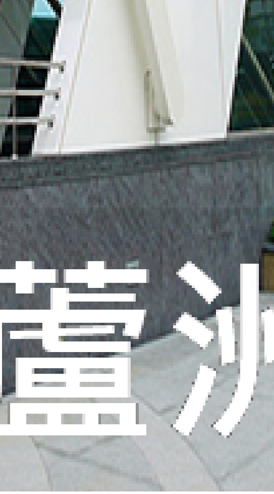 我是蘆洲人
