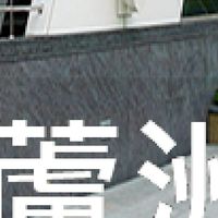 我是蘆洲人