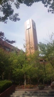 大阪学院大学