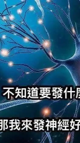 神經病收容所