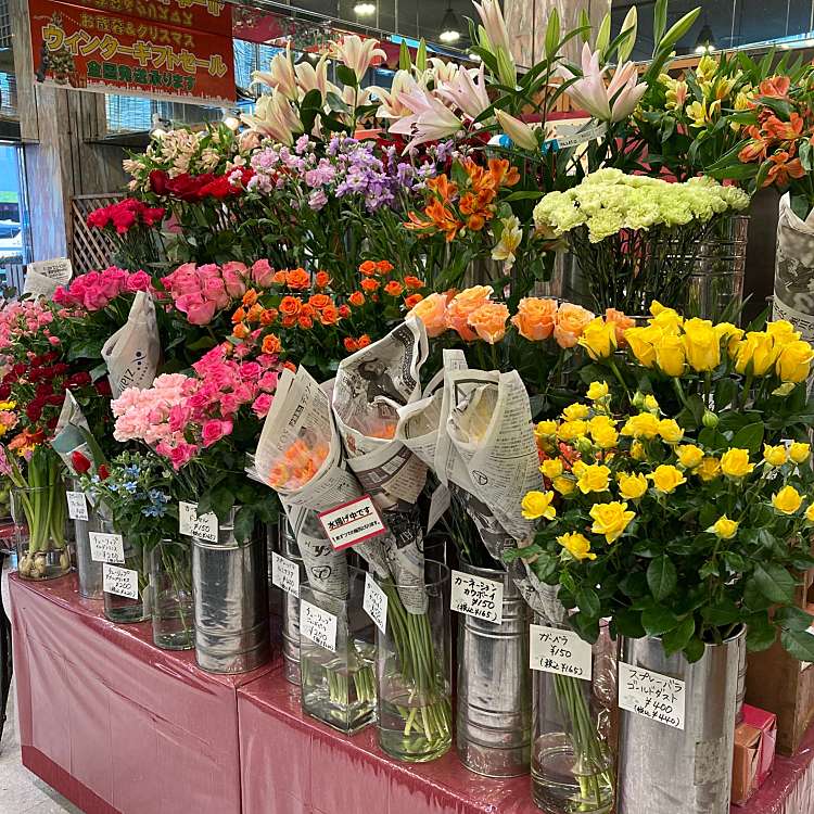 写真 花工場 港北ニュータウンセンター南店 ハナコウジョウコウホクニュータウンセンターミナミテン 荏田東 センター南駅 植木 苗木 花き By Line Place