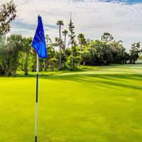 Golf Promotion