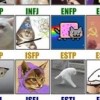 MBTI