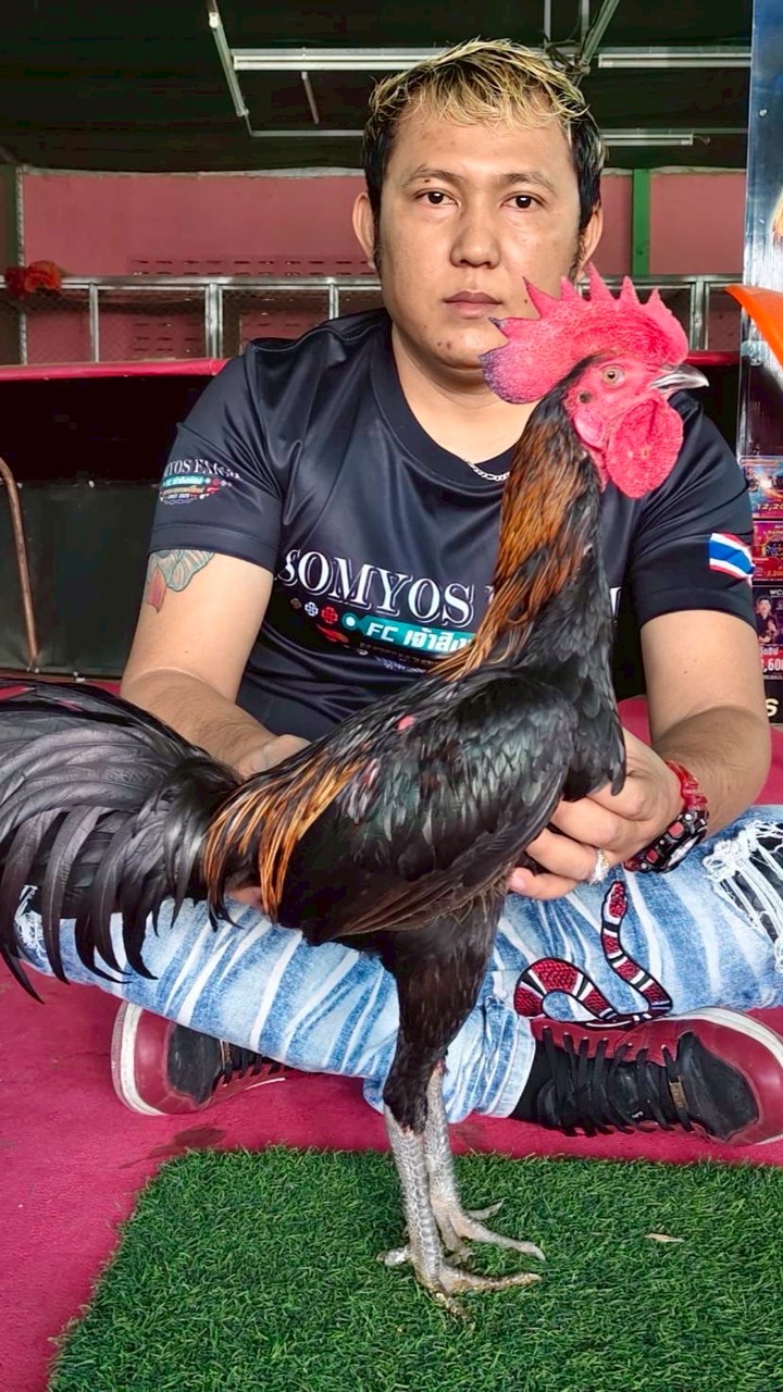 ฉัตรชัย สายเลือดเงินล้านพี่น้องจับต้องได้