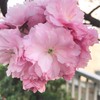 ひとりで寂しいとき✩.*˚ 雑談しましょ♡