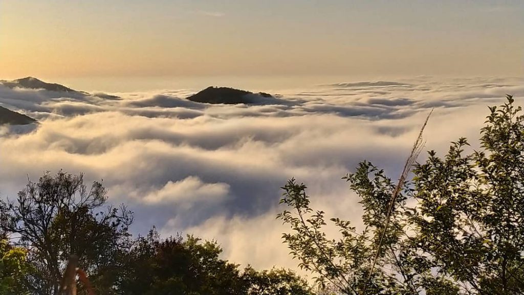台灣國家森林遊樂區－新竹觀霧
