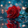 💝您之所來～盼心靈所歸💝 #輕鬆聊#撩輕鬆#不談兒女情長只有笑談當下今朝😉🥰😘😍🤗