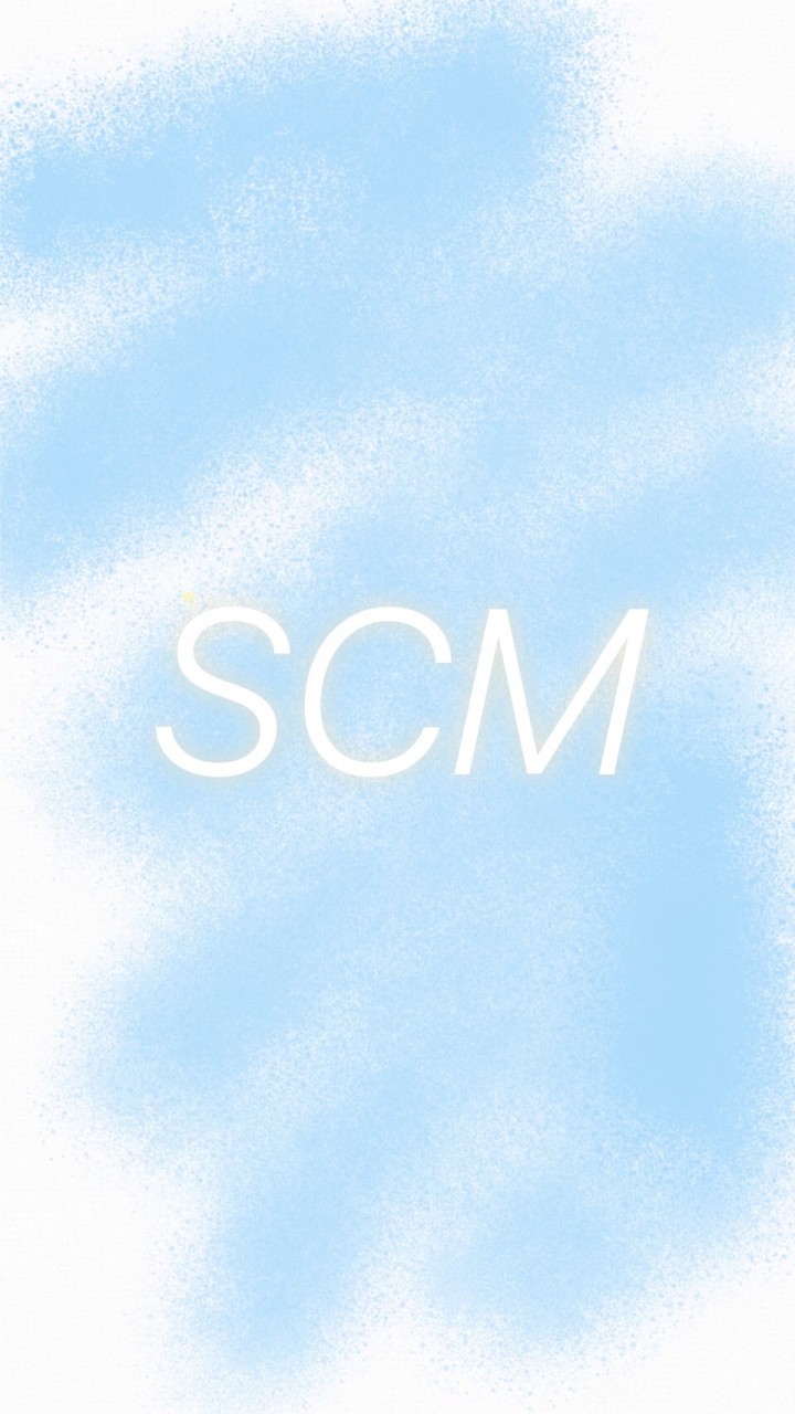 SCM戰隊副社