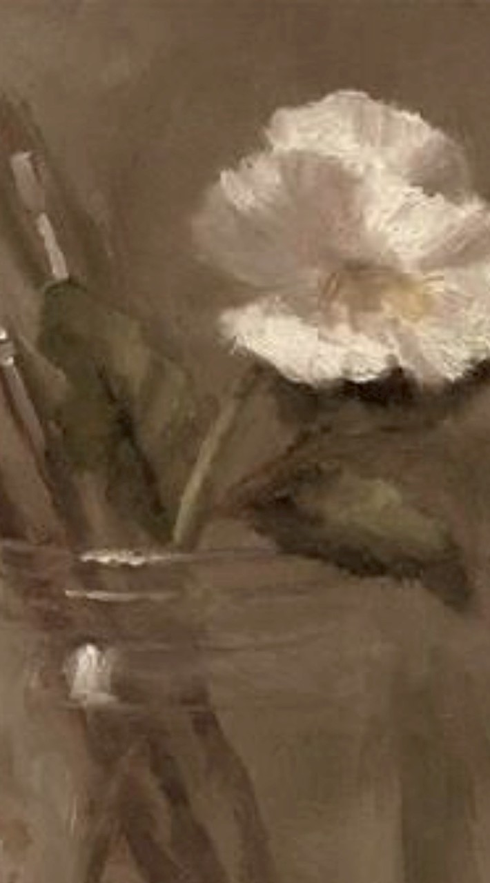 ˚ ༘♡ ·˚꒰ᥕᥱᥣᥴ᥆꧑ᥱ t᥆ ꧑ᥡ bᥣ᥆g꒱ ₊˚ˑ༄