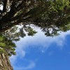 2024 登山社 東海EMBA