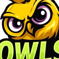 OWLs ROMC